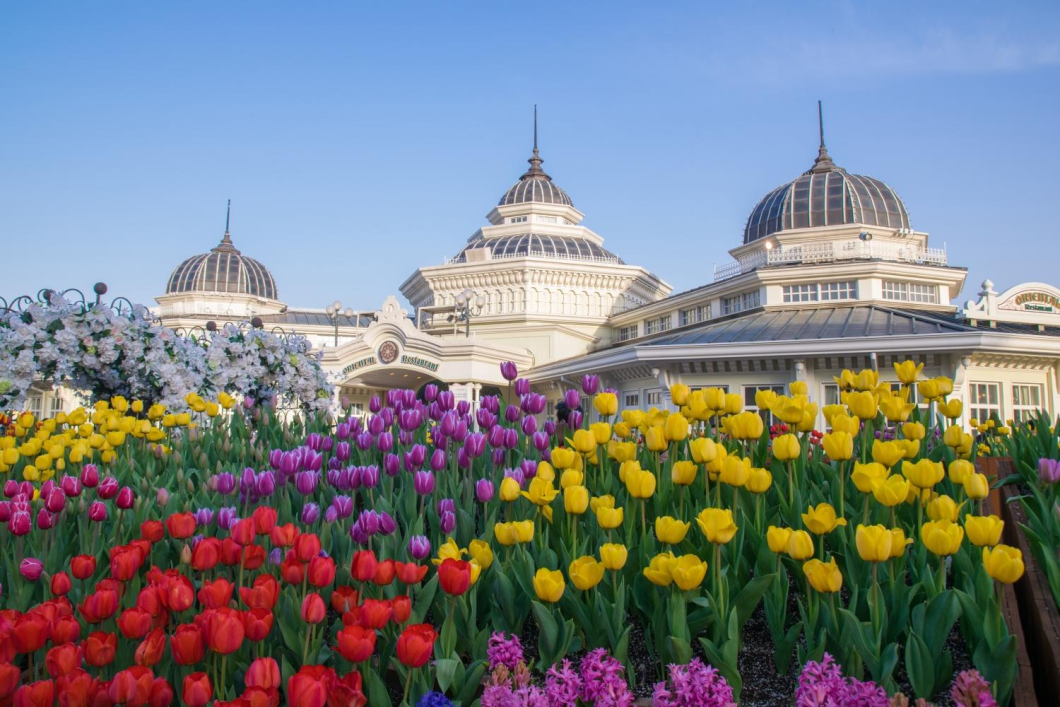 Du Lịch Hàn Quốc (Mùa Thu): Seoul - Nami - Everland - Morning Calm - Tháp Namsan