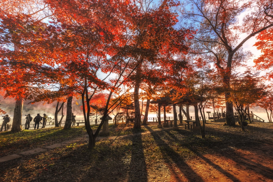 Du Lịch Hàn Quốc (Mùa Thu): Seoul - Nami - Everland - Morning Calm - Tháp Namsan