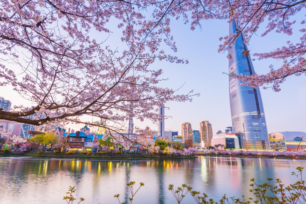 Du Lịch Hàn Quốc: Seoul - Đảo Nami - Lễ Hội Hoa Anh Đào Yeouido - Everland