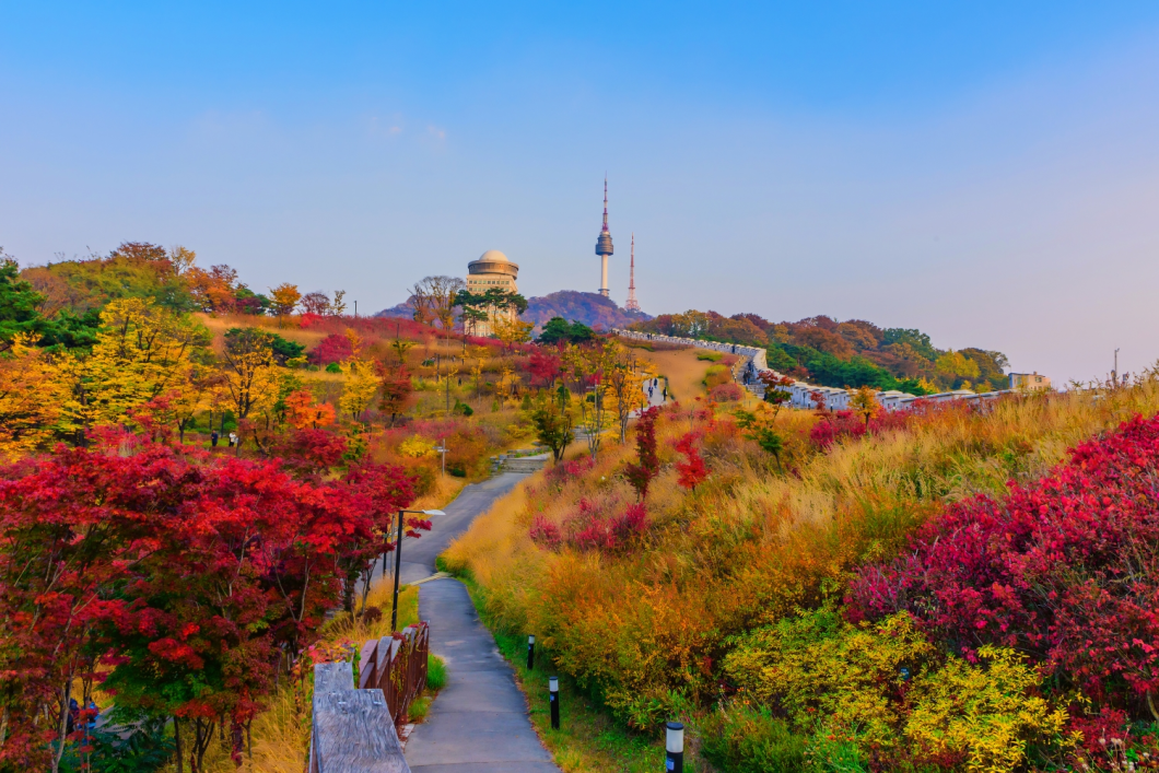 Du Lịch Hàn Quốc (Mùa Thu): Seoul - Nami - Everland - Morning Calm - Tháp Namsan