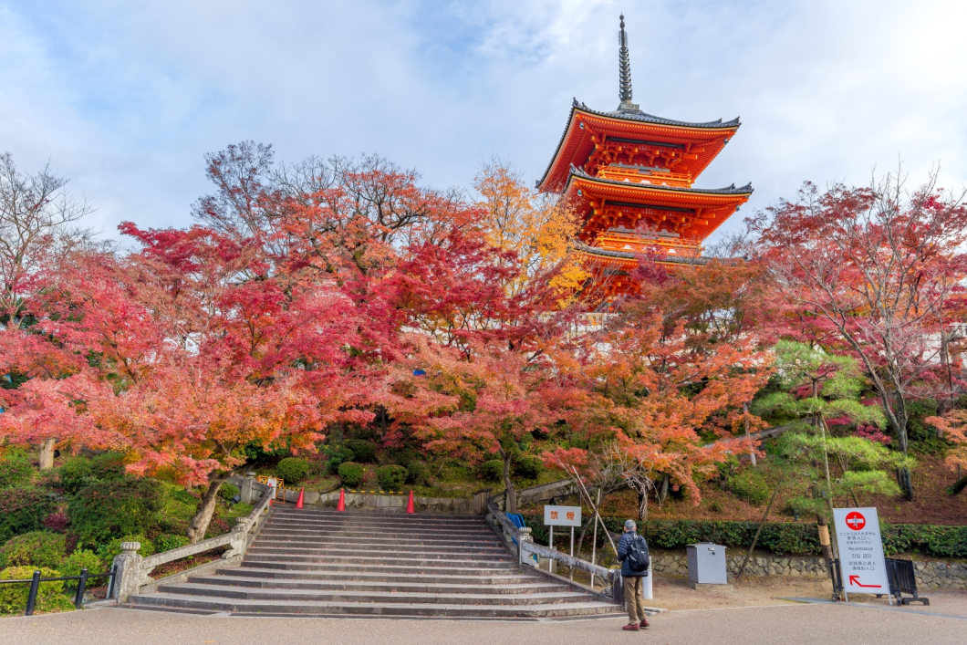 Du Lịch Nhật Bản (Mùa Thu): Tokyo - Phú Sĩ - Nagoya - Kyoto - Nara - Osaka