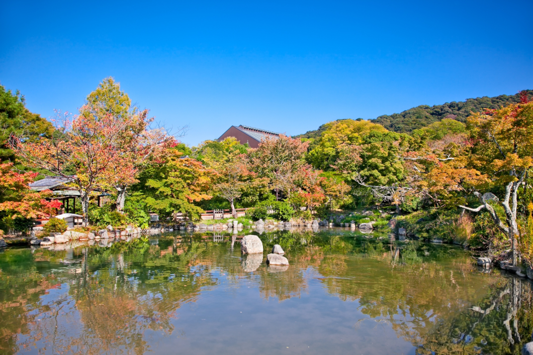 Du Lịch Nhật Bản (Mùa Thu): Hokkaido - Tokyo - Noboribestu - Toya - Jozankei Osen - Sapporo