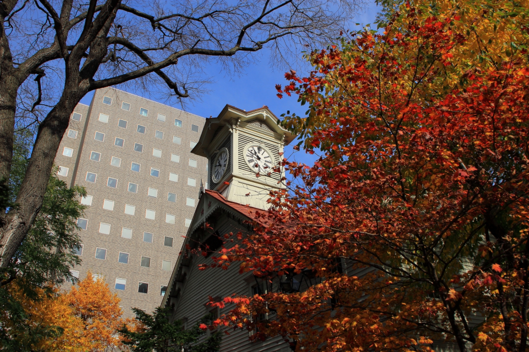 Du Lịch Nhật Bản (Mùa Thu): Hokkaido - Tokyo - Noboribestu - Toya - Jozankei Osen - Sapporo