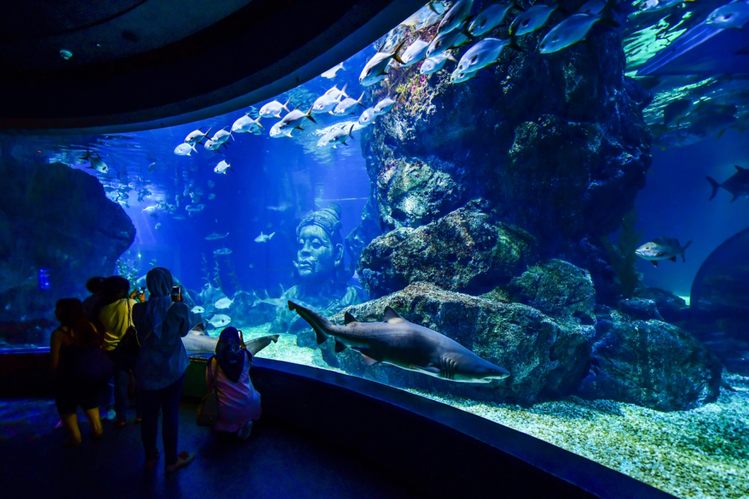 Du Lịch Thái Lan (Lễ Noel): Bangkok - Thuỷ Cung Sea Life - Cafe Hong Sieng Kong - Suanthai - Pattaya