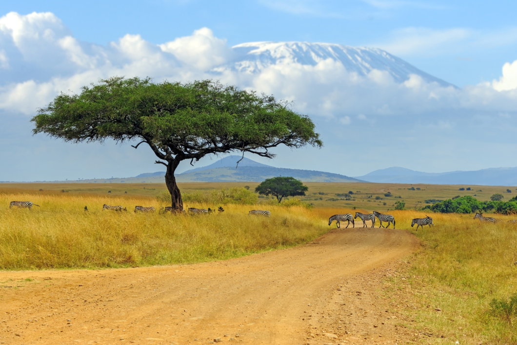 Du Lịch Châu Phi: Khám Phá Đông Phi Kỳ Thú Kenya - Tanzania