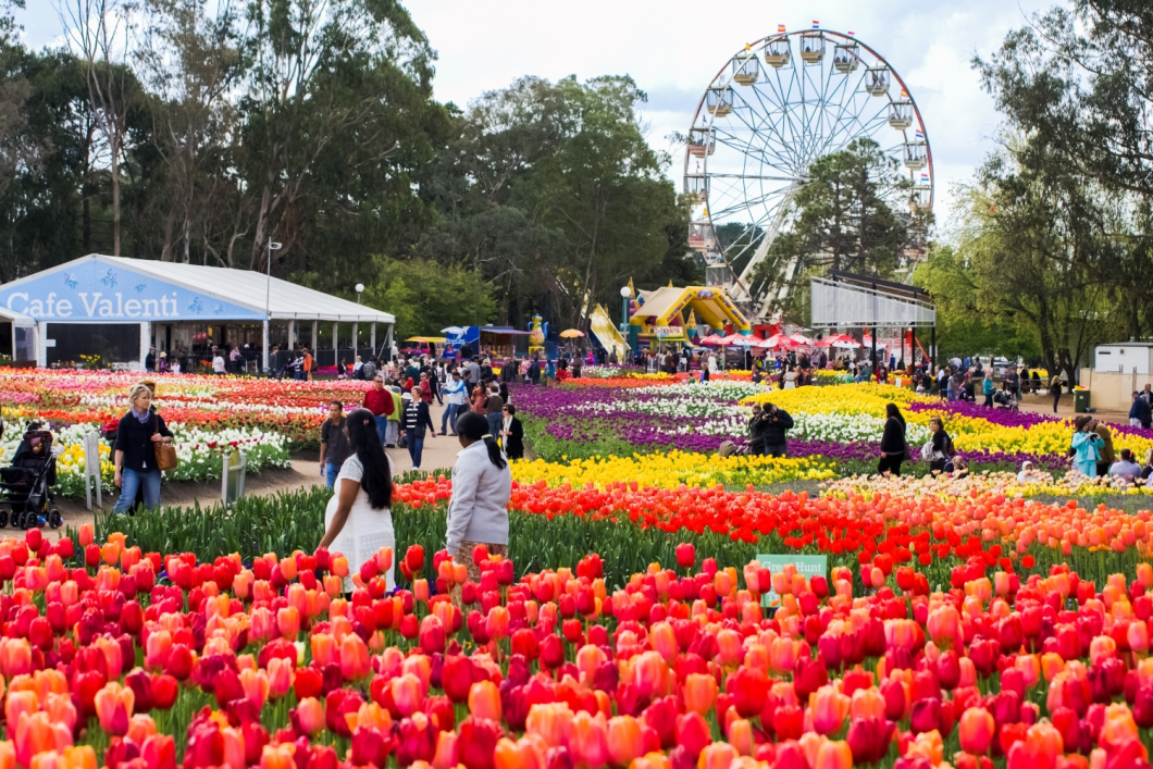 Du Lịch Úc (Lễ Hội Hoa Floriade): Melbourne - Dandenong - Canberra - Sydney - Blue Mountains