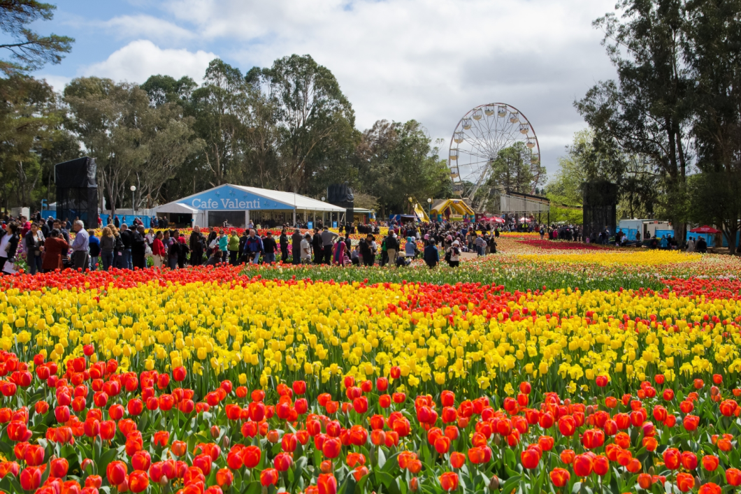 Du Lịch Úc (Lễ Hội Hoa Floriade): Melbourne - Dandenong - Canberra - Sydney - Blue Mountains