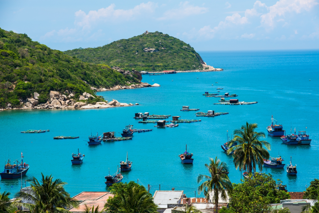 Du Lịch Vĩnh Hy - Ninh Chữ (Tết Âm Lịch 2026): Khu Du Lịch Trải Nghiệm Tanyoli - Vịnh Vĩnh Hy - Hang Rái - Trùng Sơn Cổ Tự - Tháp Chàm Po Klong Garai