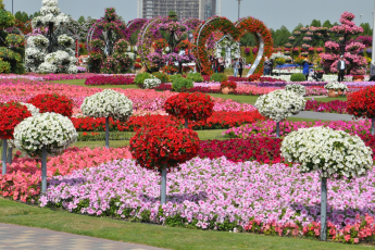 Du Lịch Dubai - Brunei (Tết Âm Lịch 2026): Vườn Hoa Diệu Kỳ Miracle Garden - Cưỡi Lạc Đà - Đi Trên Khung Tranh Khổng Lồ - Buffet Trưa Khách Sạn 5 Sao