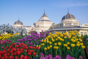 Du Lịch Hàn Quốc (Mùa Thu): Seoul - Nami - Everland - Morning Calm - Tháp Namsan