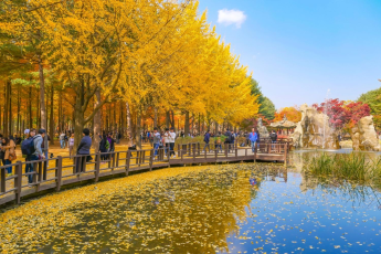 Du Lịch Hàn Quốc (Mùa Thu): Seoul - Nami - Everland - Morning Calm - Tháp Namsan
