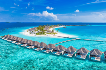 Du Lịch Maldives: Bơi Cùng Cá Mập Hiền Hòa - Ngắm Xác Tàu Đắm - Nghỉ Dưỡng 01 Đêm Water Villa