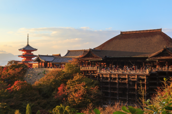 Du Lịch Nhật Bản (Mùa Lá Đỏ): Osaka - Kyoto - Nagoya - Phú Sĩ - Tokyo - Narita