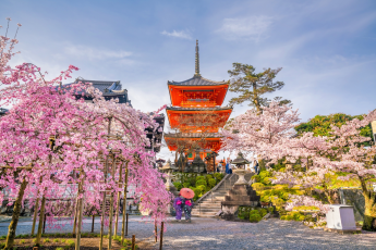 Du Lịch Nhật Bản (Mùa Hoa Anh Đào): Tokyo - Phú Sĩ - Hamamatsu - Toyohashi  Kyoto - Osaka