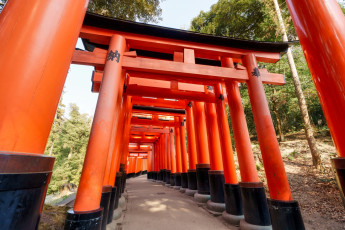 Du Lịch Nhật Bản (Lễ 30/04): Ishikawa - Kyoto - Kamikochi - Takayama - Bức Tường Tuyết Yuko No Otani