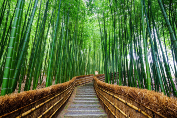 Du Lịch Nhật Bản: Osaka - Kyoto - Nagoya - Phú Sĩ - Tokyo - Narita