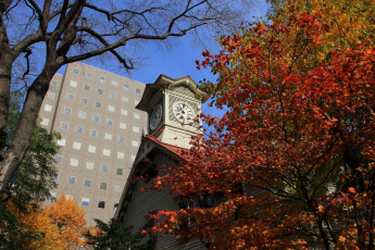 Du Lịch Nhật Bản (Mùa Thu): Hokkaido - Tokyo - Noboribestu - Toya - Jozankei Osen - Sapporo
