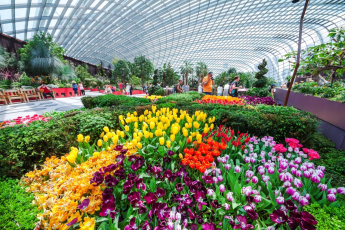 Du Lịch Singapore: Vườn Hoa Floral Fantasy - Spectra Light Show - Bữa Ăn BBQ