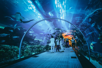 Du Lịch Malaysia - Singapore: Hải Trình Du Ngoạn Du Thuyền Star Voyager