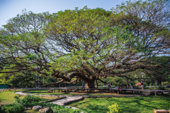 Du Lịch Thái Lan: Bangkok - Pattaya - Kanchanaburi