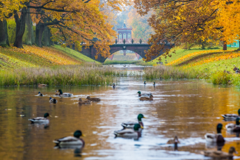 Du Lịch Nga (Mùa Thu): Moscow - Saint Petersburg