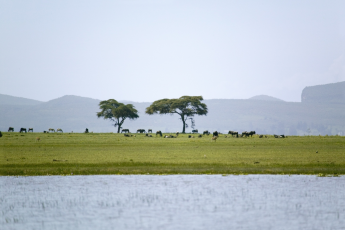 Du Lịch Châu Phi: Khám Phá Đông Phi Kỳ Thú Kenya - Tanzania