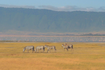 Du Lịch Châu Phi: Khám Phá Đông Phi Kỳ Thú Kenya - Tanzania