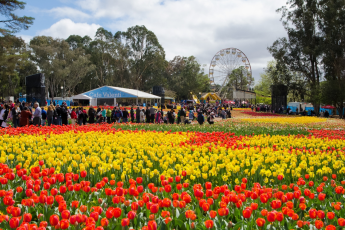 Du Lịch Úc (Lễ Hội Hoa Floriade): Melbourne - Dandenong - Canberra - Sydney - Blue Mountains