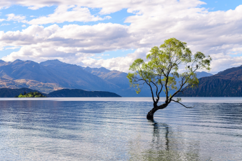Du Lịch New Zealand: Khám Phá Auckland - Rotorua - Christchurch - Queenstown