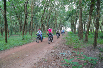 Du Lịch Củ Chi: Tour Xe Đạp - Ngày Bình Yên Trên Vùng Đất Thép