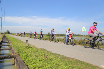 Du Lịch Củ Chi: Tour Xe Đạp - Ngày Bình Yên Trên Vùng Đất Thép