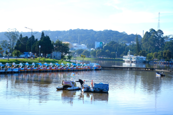 Du Lịch Đà Lạt: Quê Garden - Đồi Chè Cầu Đất - Mongo Land