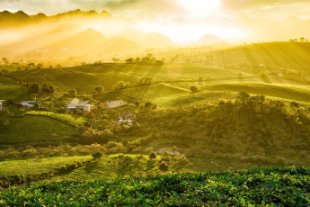 Du Lịch Hà Nội - Mộc Châu - Điện Biên - Sapa