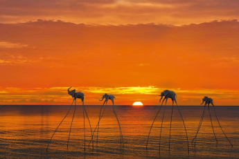 Du Lịch Phú Quốc: Sunset Sanato - Safari - Grand World