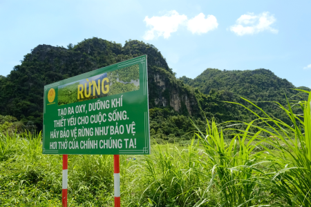 Quần đảo Cát Bà