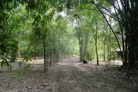 Địa đạo Củ Chi