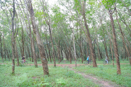 Địa đạo Củ Chi