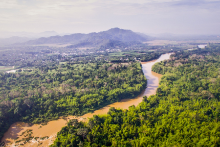Vườn Quốc gia Nam Cát Tiên
