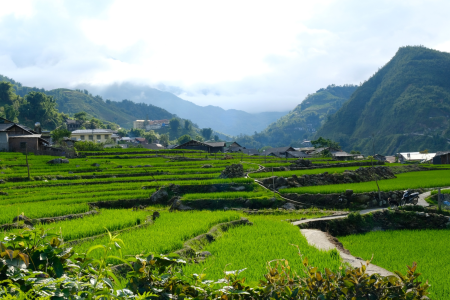 Sapa