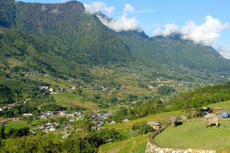 Sapa