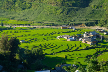 Sapa