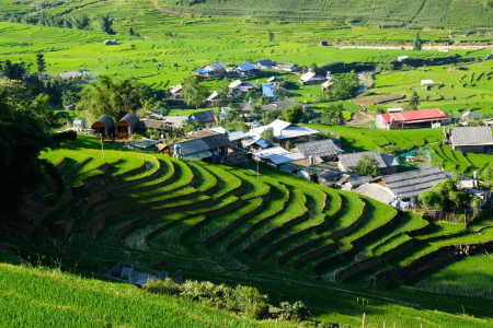 Sapa