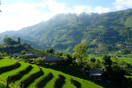 Sapa