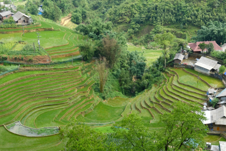 Sapa
