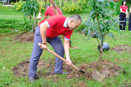 Công trình Thanh Niên “Góp mảng xanh, Xây tương lai”