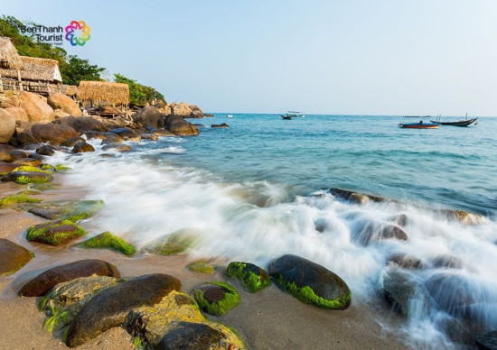 Du lịch Đà Nẵng tháng Giêng, có một mùa rêu đá ở Nam Ô đẹp đến xiêu lòng!