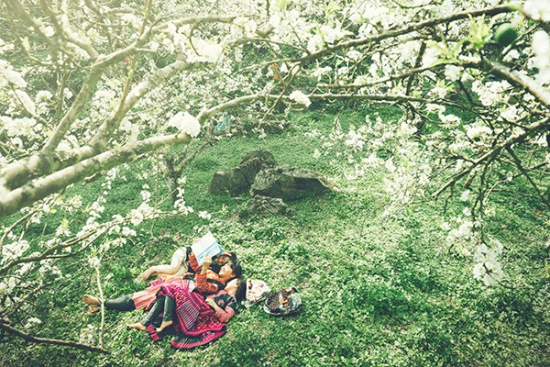 BenThanh Tourist tung chùm tour Tết 2022 hấp dẫn