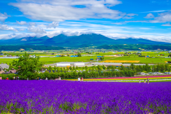 Chương trình ưu đãi đặc biệt tại Lễ hội Japan Vietnam Festival 2025