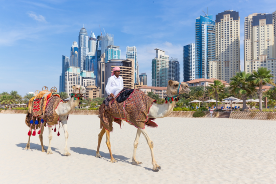 Du lịch Dubai có gì? Những điểm đến nổi tiếng bạn phải check-in