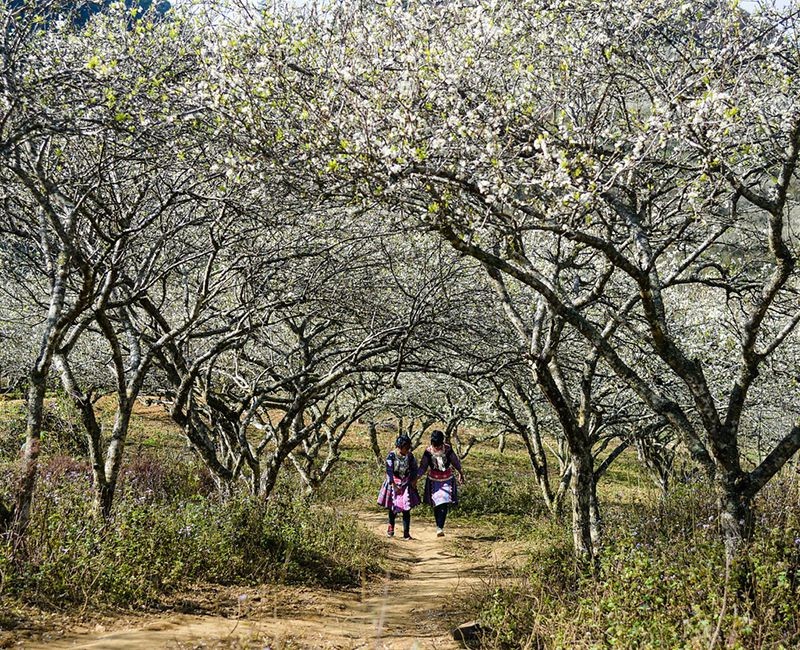 Mạng bán tour du lịch trực tuyến hàng đầu tại Việt Nam | BenThanh Tourist Mạng bán tour du lịch trực tuyến hàng đầu tại Việt Nam | BenThanh Tourist